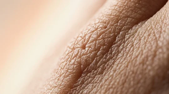 Microscopic cross-section view of human epidermis layers showing molecular penetration pathways