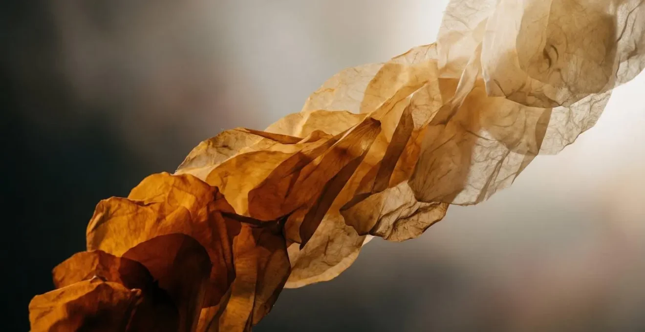Abstract visualization of skin cell renewal layers showing progression over time